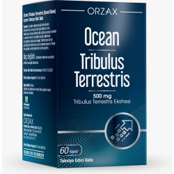 Ocean Tribulus Terrestris 500 Mg 60 Kapsül